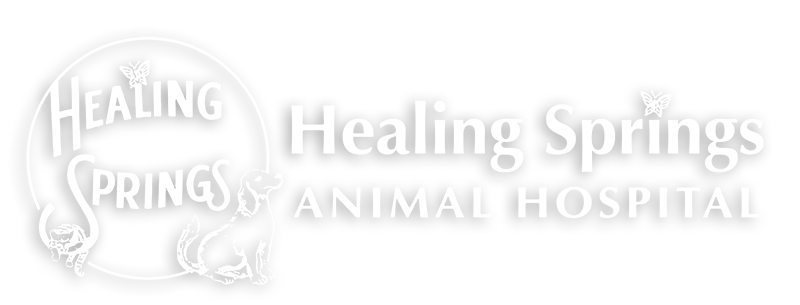 White Logo: Healing Springs Animal Hospital, Galax - Hillsville - Independence VA